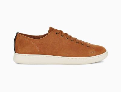 UGG Pismo Low Mens Sneakers Chestnut/ Brown - AU 274IT